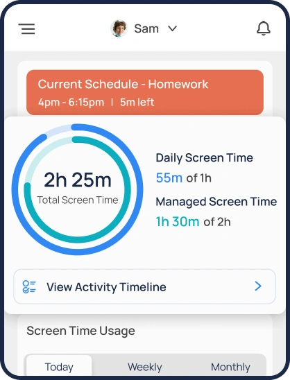activity summary
